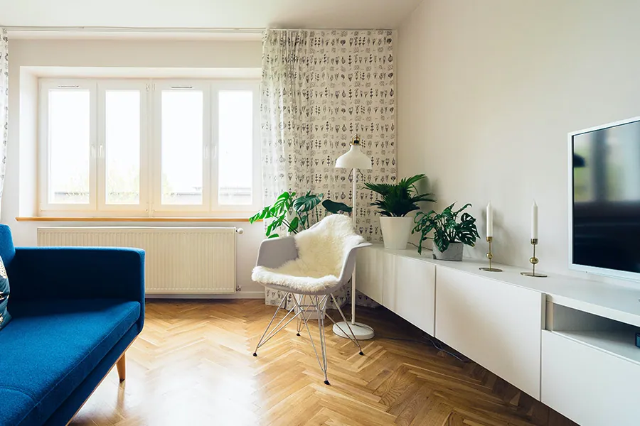Helles Wohnzimmer mit blauem Sofa und trockenen, frisch gestrichenen Wänden